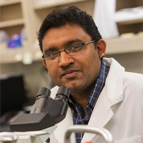 Dr. Akhilesh Ramachandran